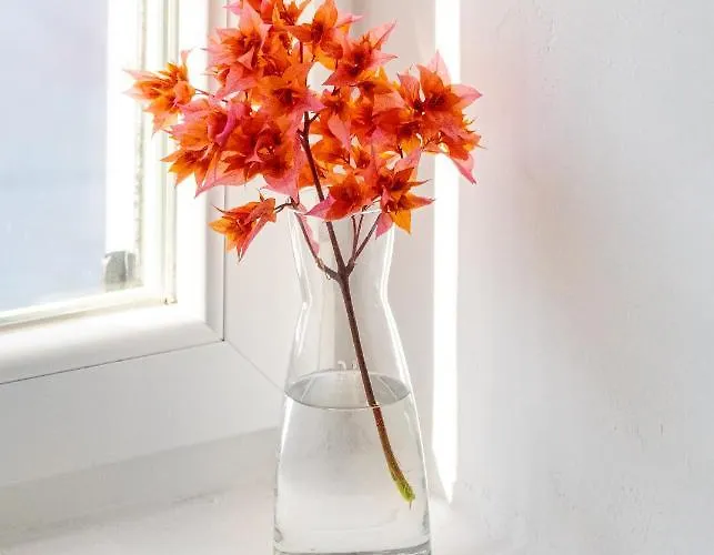 Apartamento Corfos Blue Mykonos