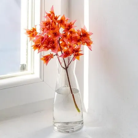 Апартаменты Corfos Blue Mykonos